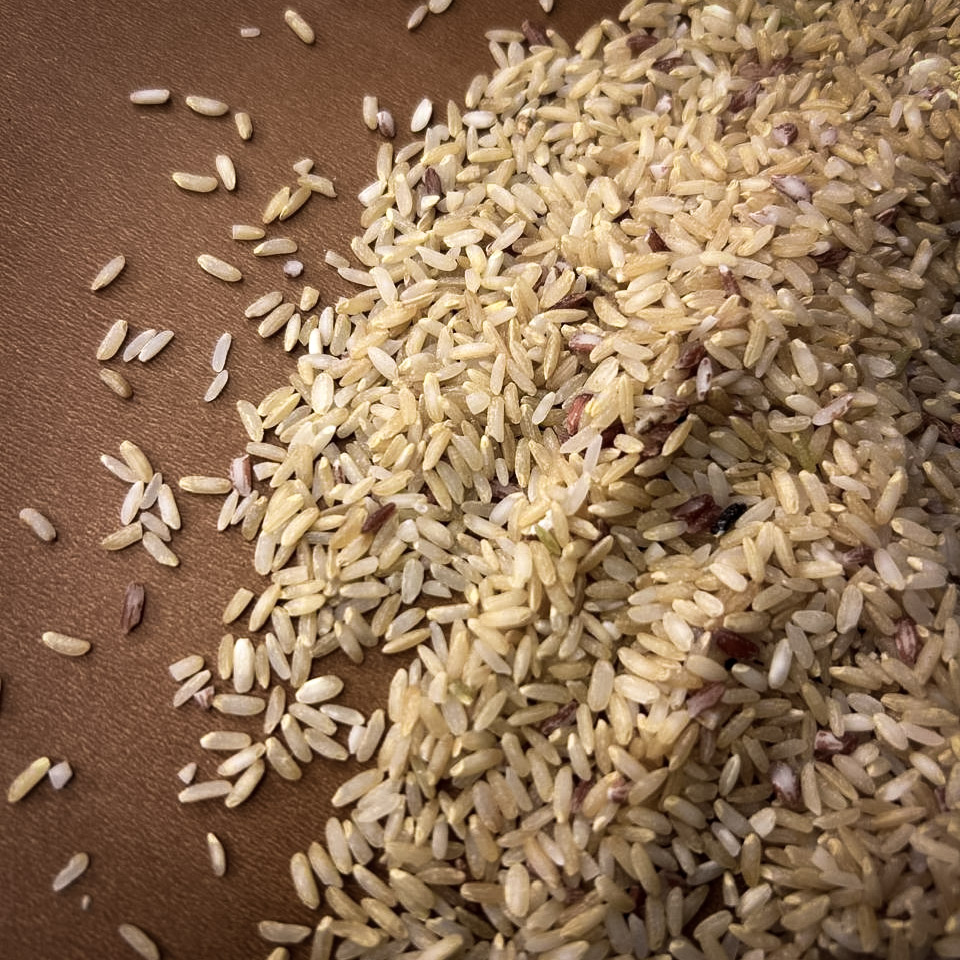 Narayana Kamini - Image 4